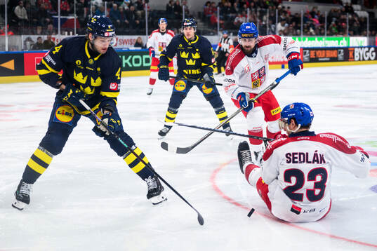 Jacob Larsson of Sweden and Lukas Sedlak  of Czech Republic