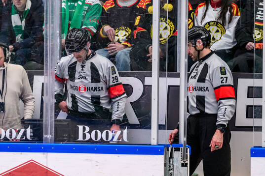 Domarna videogranskar