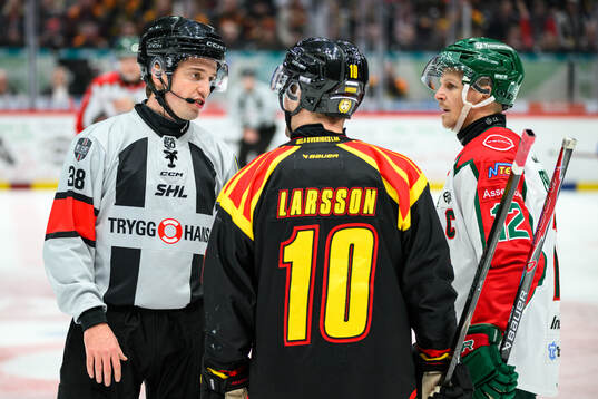 Domare Marcus Wannerstedt i diskussion med Brynäs Johan