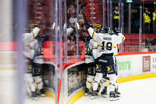 HV71s Riley Woods jublar med Niklas Hansson