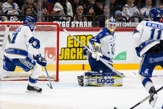 Leksands målvakt Marcus Gidlöf