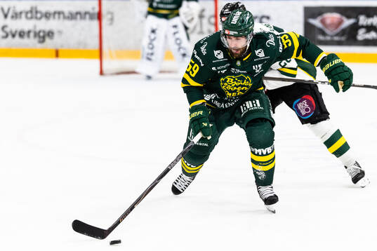 Björklövens Theoklis Theocharidis