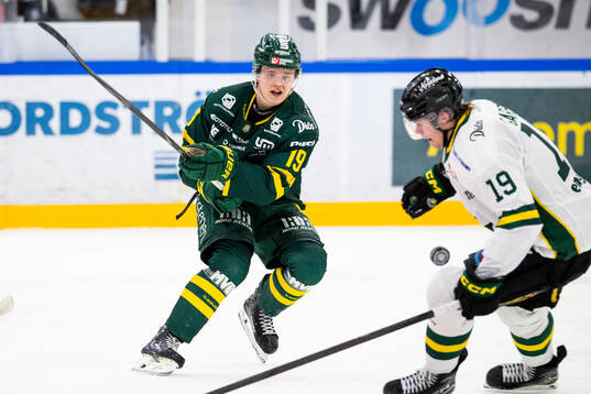 Björklövens Liam Dower Nilsson