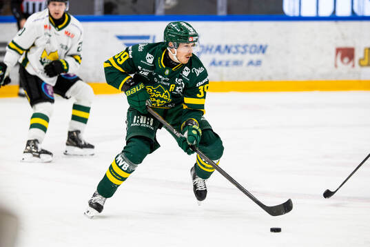 Björklövens Joel Mustonen