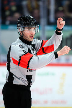 Domare Filip Eriksson