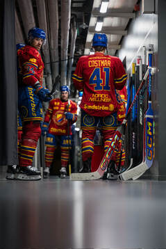 Djurgårdens Daniel Brodin