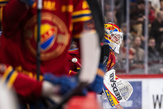 Djurgårdens målvakt Daniel Marmenlind