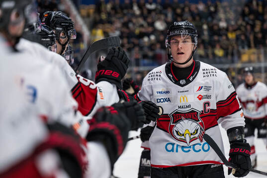 Malmö Redhawks Fredrik Händemark jublar