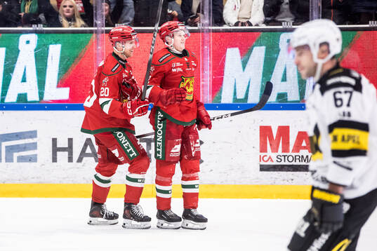 Moras Georg Weigelt och Filip Björkman jublar