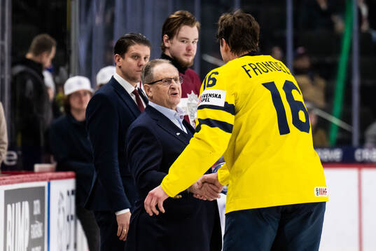 Vice president of the Swedish Ice Hockey federation Peter