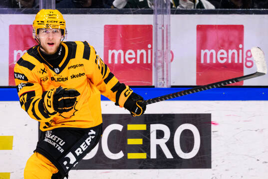 Skellefteås Jonathan Davidsson jublar