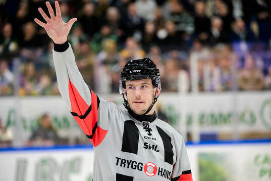 Domare Oscar Niklasson