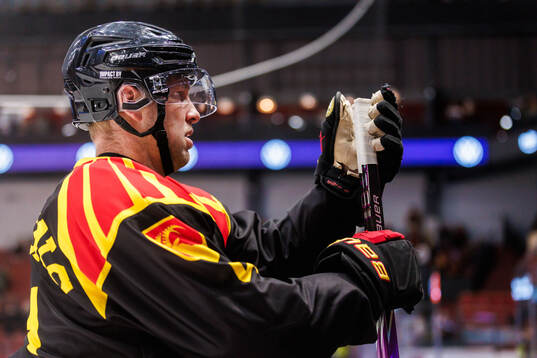 Brynäs Greg Scott