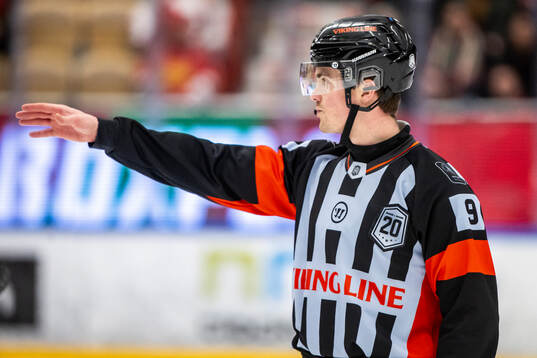 Domare Filip Eriksson