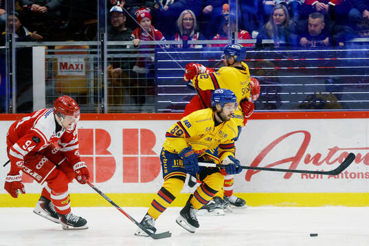 Djurgårdens Oula Palve och Timrås Sebastian Hartmann