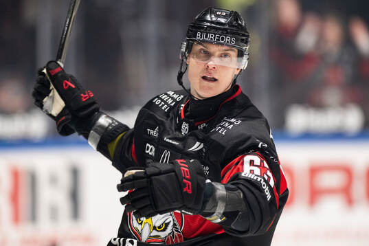 Malmö Redhawks Fredrik Händemark jublar