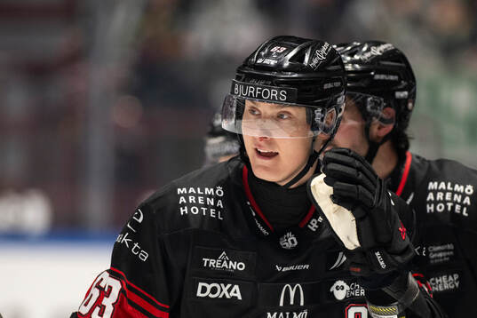 Malmö Redhawks Fredrik Händemark jublar