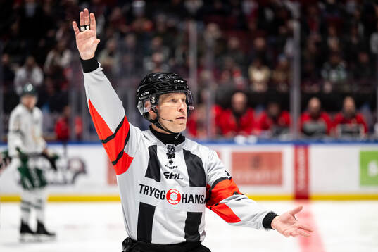 Domare Tobias Björk