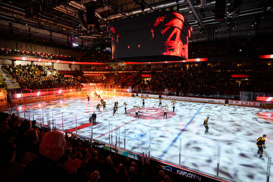 Brynäs spelare gör entré