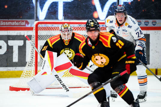 Brynäs målvakt Erik Källgren