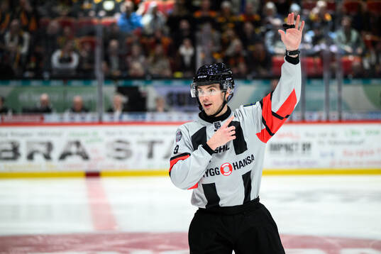 Domare Filip Eriksson