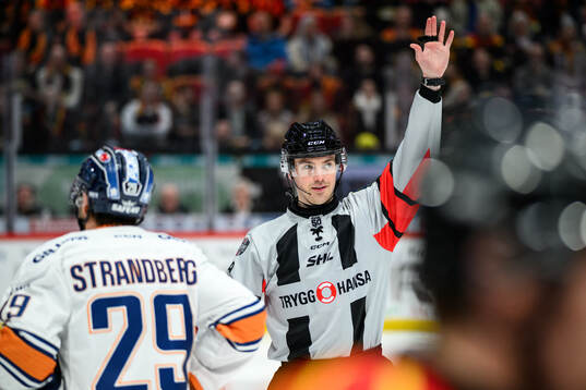 Domare Filip Eriksson