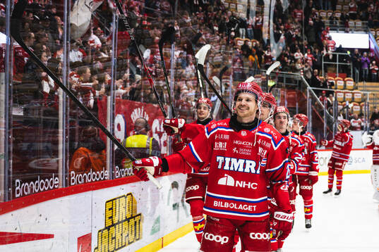 Timrås Ludvig Levinsson jublar