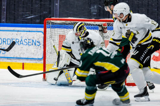 AIKs målvakt Jonas Gunnarsson