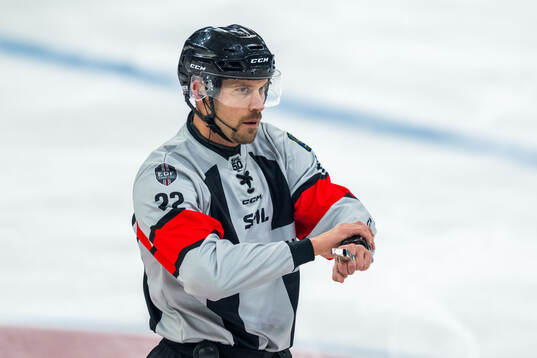 Domare Andreas Harnebring