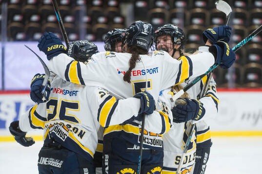 HV71s spelare jublar