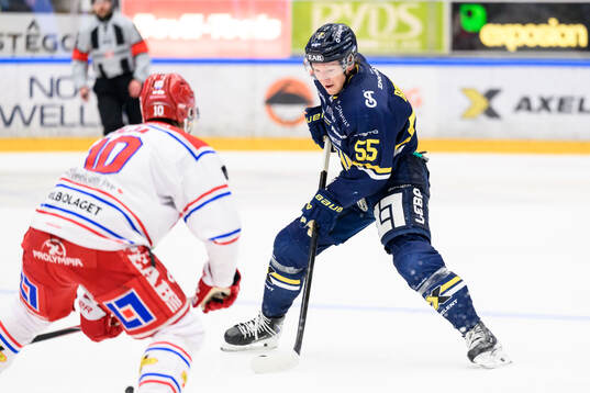 HV71s Andreas Borgman