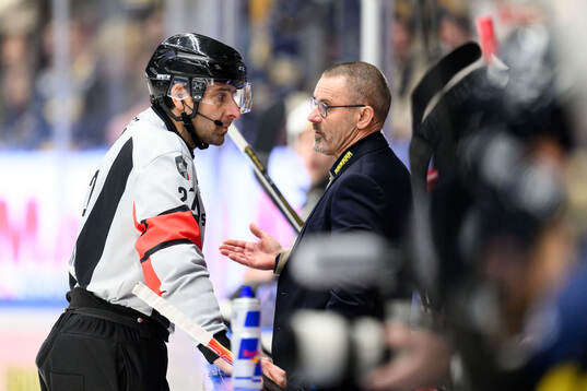 Domare Mikael Sjöqvist och Timrås tränare Tommy