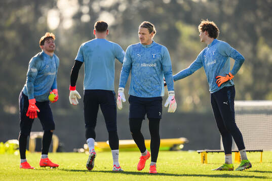 Målvakt Melker Ellborg, målvakt Robin Olsen, målvakt