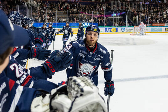 Linköpings Robin Kovacs jublar