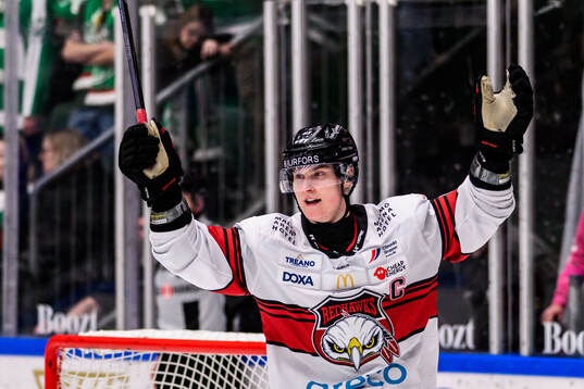Malmö Redhawks Fredrik Händemark jublar