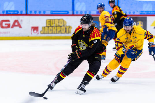 Brynäs Axel Jonsson-Fjällby