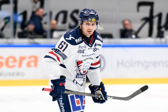 Linköpings Markus Ljungh jublar