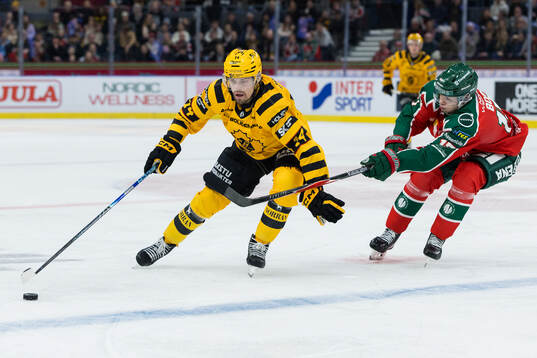 Skellefteås Andreas Johnson och Frölundas Isac Born