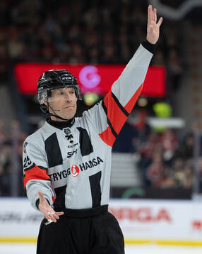 Domare Tobias Björk