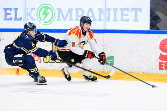HV71s Lucas Lagerberg och Brynäs Nicklas Bäckström
