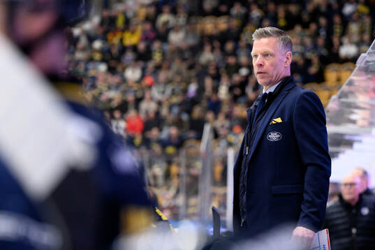 HV71s assisterande tränare Nicklas Rahm