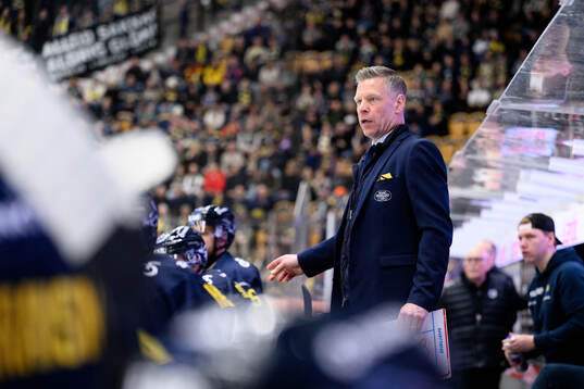 HV71s assisterande tränare Nicklas Rahm