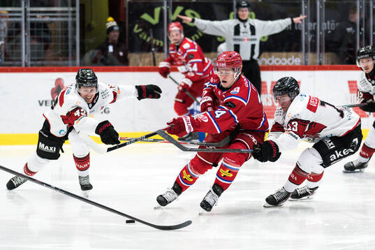 Timrås Alfons Freij mot Malmö Redhawks Petter Vesterheim