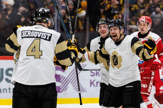 Skellefteås Andreas Johnson jublar