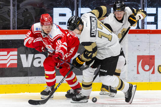 Timrås Eddie Genborg och Skellefteås Pär Lindholm