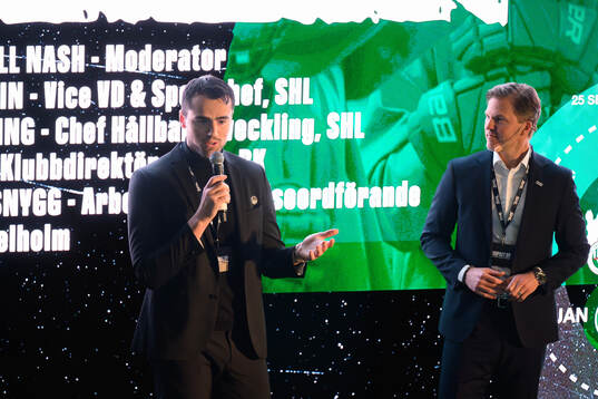 Alen Bibic, Klubbdirektör Rögle BK