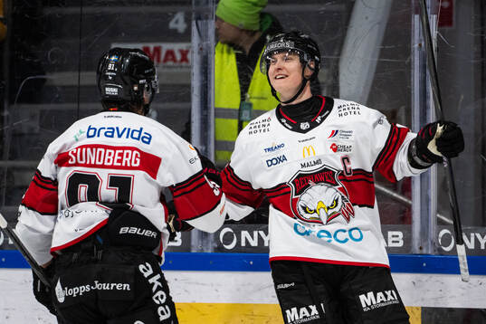 Malmö Redhawks Fredrik Händemark jublar