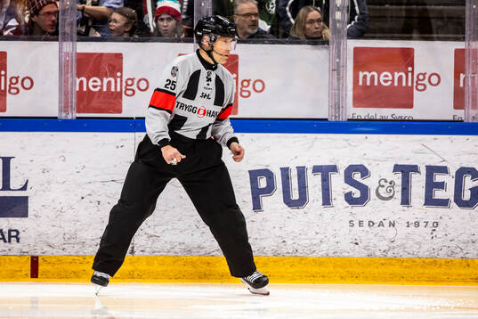 Domare Tobias Björk