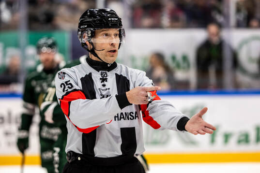 Domare Tobias Björk