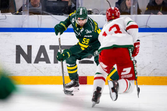 Björklövens Theoklis Theocharidis